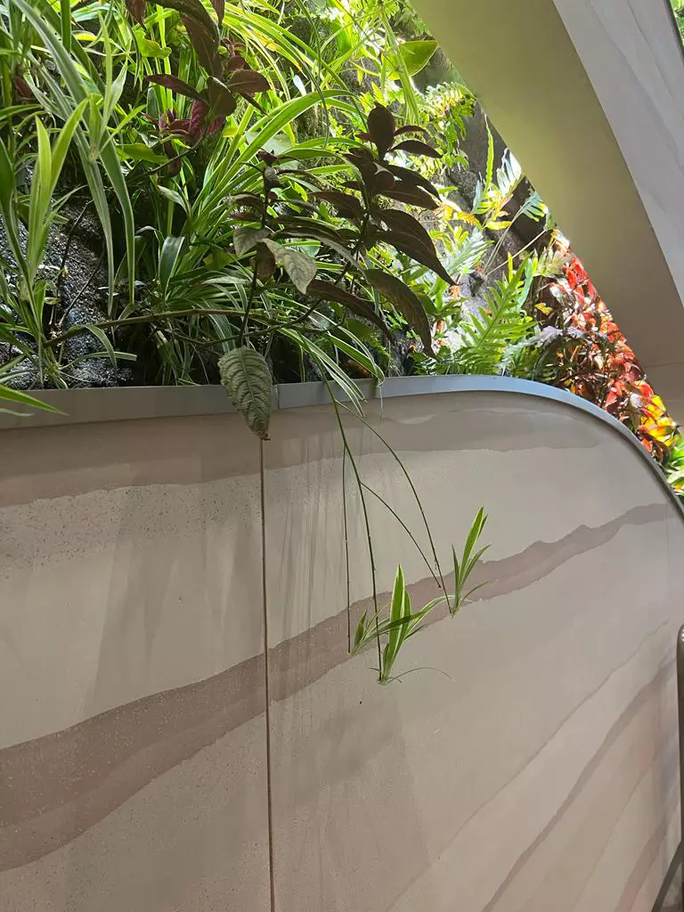 Aéroport de Singapour - SOE Stuc & staff